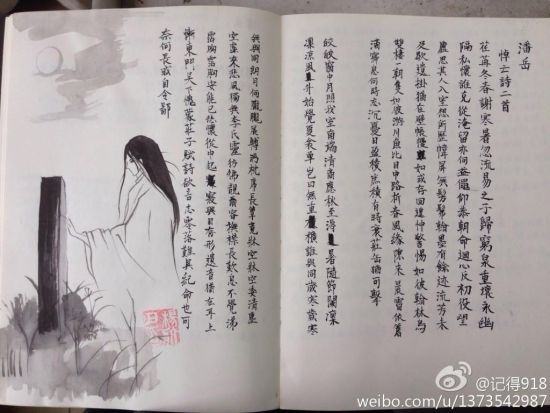 川大才女耗时两个月 手绘手抄出最美读书笔记